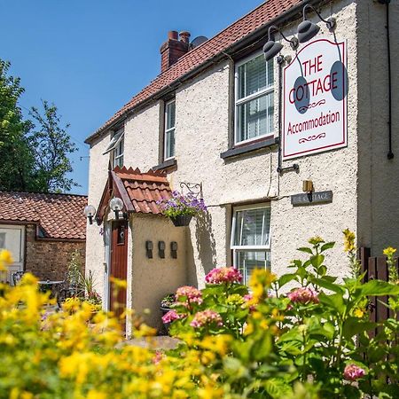 The Cottage Felton  エクステリア 写真